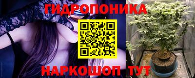 хмурый Свободный