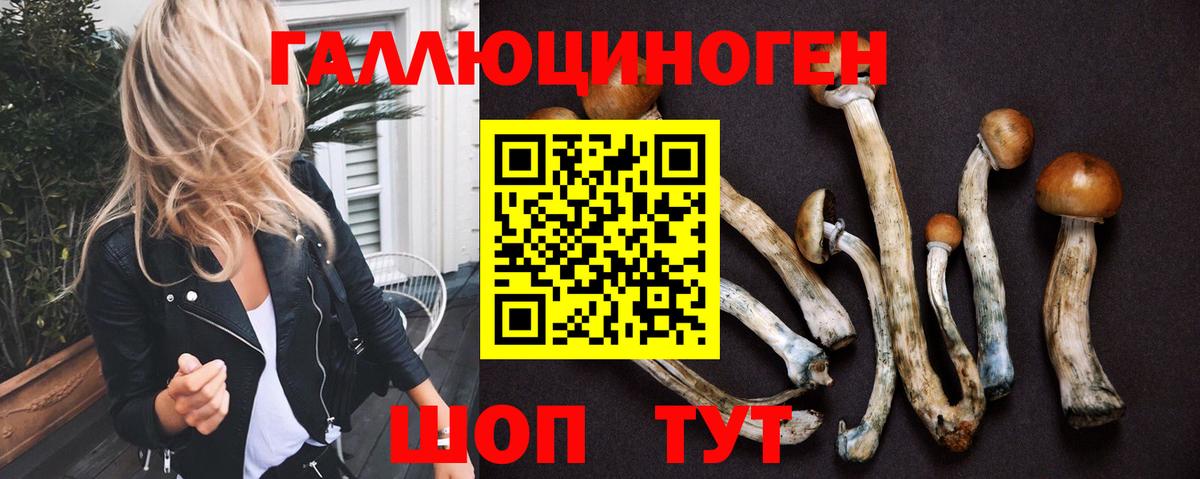 Псилоцибиновые грибы прущие грибы Нижний Тагил