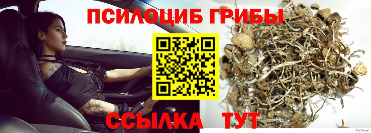 Галлюциногенные грибы MAGIC MUSHROOMS  Вход с VPN  Нижний Тагил 